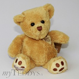 Sweet Teddy