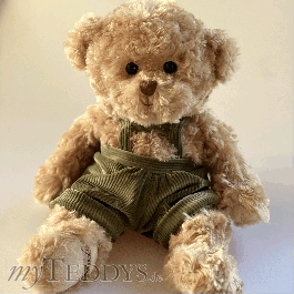 Alfred - 22148 Teddybär