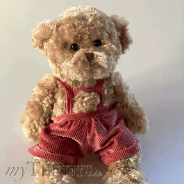 Frans - 22136 Teddybär