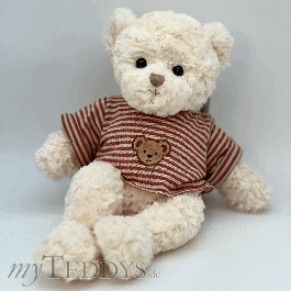 Sebastien Teddybär