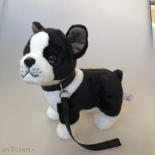 Französische Bulldogge 22 cm Kuscheltier Plüschtier Anima 1658 