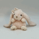 Cute Kanina White Hase