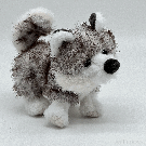 Baby Husky