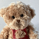 Frans - 22136 Teddybär