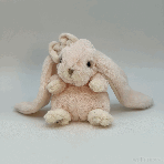 Cute Kanina White Hase